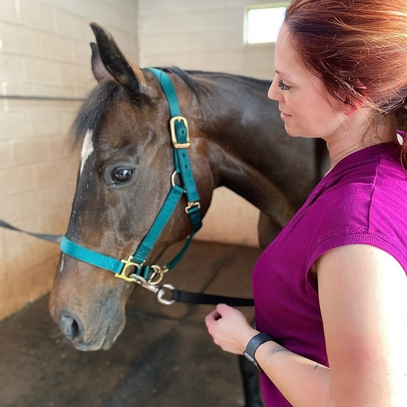 Meet your Posher, L - Picture 2 of 3